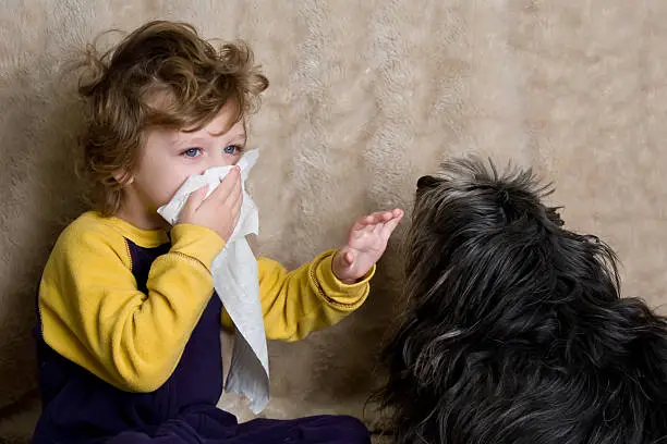 Dog allergy virtual consultation in USA