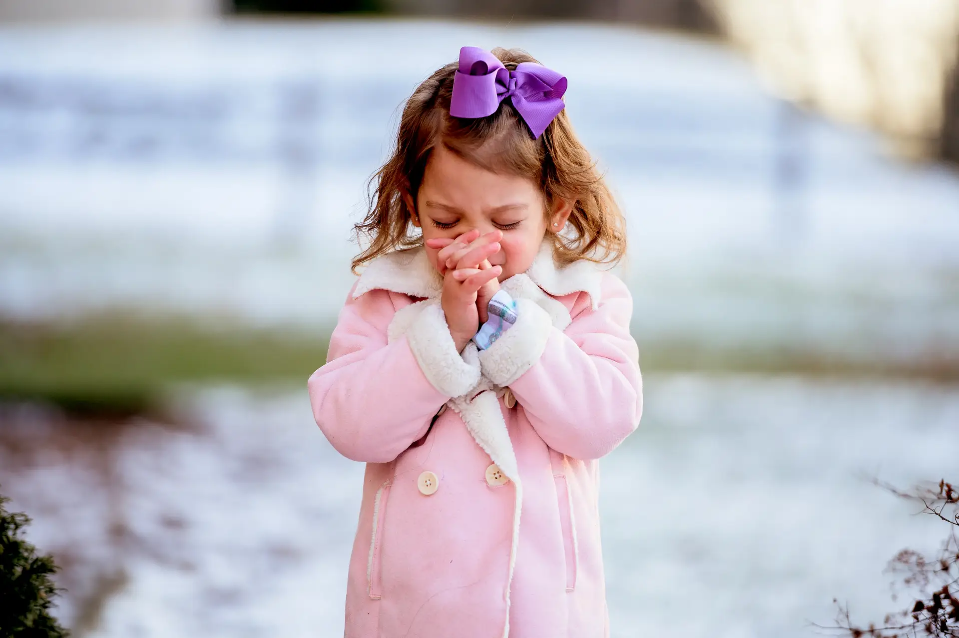 Mountain Cedar allergy virtual treatment in USA
