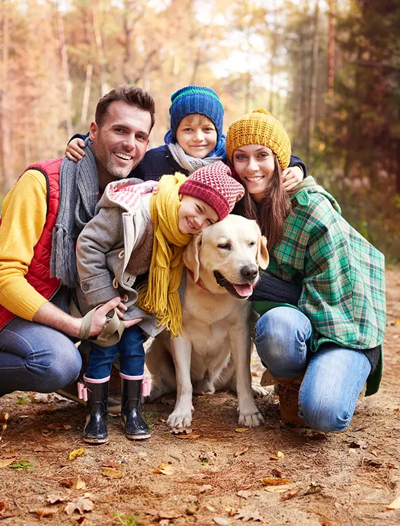 Allergy Treatment Plans
