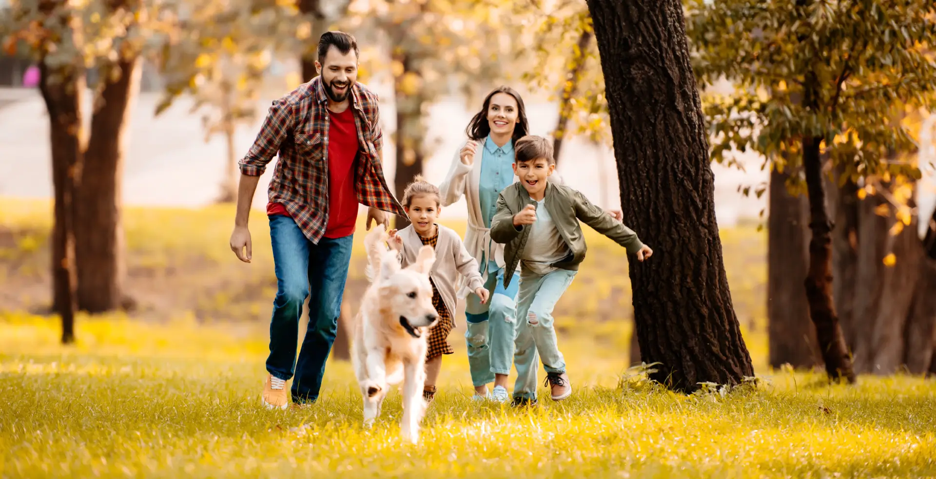 Dog allergy virtual treatment in USA