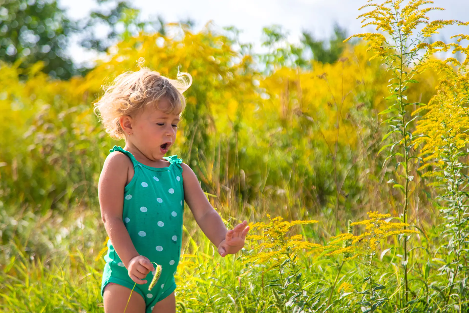 Ragweed allergy virtual treatment in USA